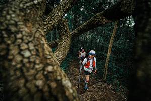 BIB: 
                            <button type="button" onclick="openModal(25697587)" class="btn btn-primary btn-sm float-right btn-popup" data-toggle="modal" data-target=".modal-high-quality">
                        <i class="fas fa-shopping-cart"></i> Add to Cart
                    </button>
                                            <button type="button" onclick="isThisMe(25697587, true)" class="btn btn-success btn-sm float-right btn-popup btn-isme hidden" data-toggle="tooltip" data-placement="bottom" title="นี่คือรูปของคุณใช่ไหม คลิกที่นี่เพื่อเอาเข้าอัลบั้ม">
                        <i class="fas fa-plus"></i> Add to album
                    </button>
                    <button type="button" onclick="isThisMe(25697587, false)" class="btn btn-warning btn-sm float-right btn-popup btn-isnotme hidden">
                        <i class="fas fa-ban"></i> Remove from album
                    </button>